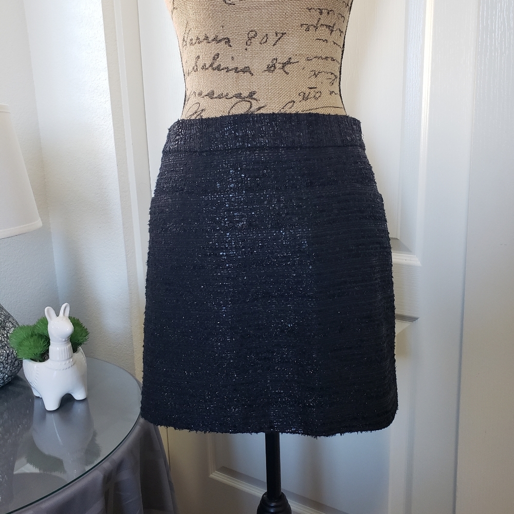 The Limited  Skirt Size 2